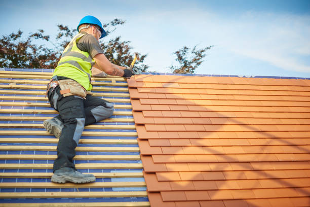 Best Roof Insulation Installation  in Broxton, GA